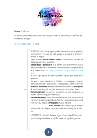 tema-2-la-piel.pdf