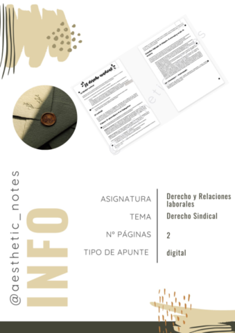 T8-Derecho-Sindical.pdf