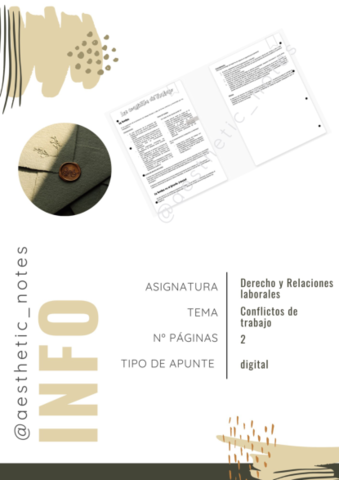 T9-Conflictos-de-trabajo.pdf