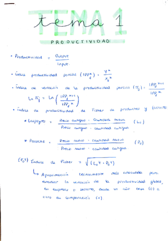 EJERCICIOS-RESUELTOS-TEMA-1.pdf