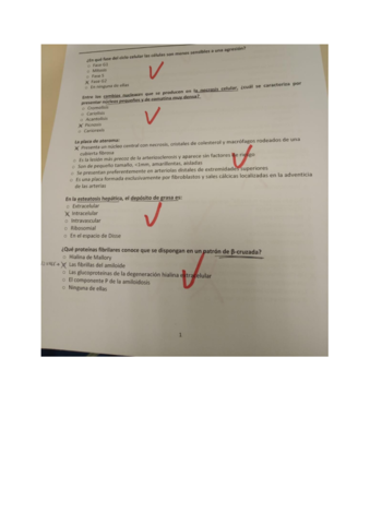 Examen-AP-2020.pdf