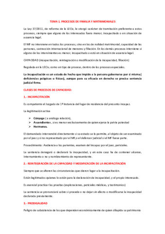 aPROCESAL-II-RESUMEN-2.pdf