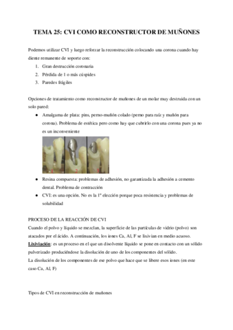 TEMA-25-CVI-COMO-RECONSTRUCTOR-DE-MUNONES.pdf