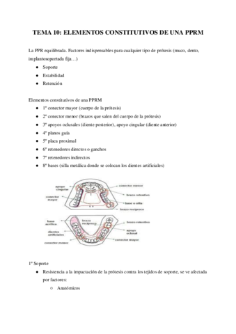 tema-10-elementos-constitutivos-de-la-PPRM.pdf