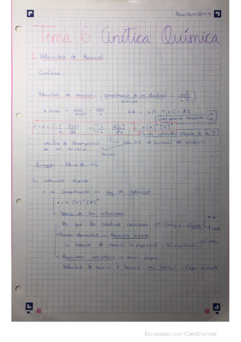 Tema 6- Cinetica Química.pdf
