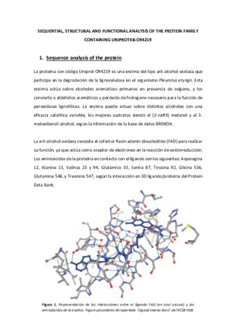Proyecto-Bioinformatica.pdf