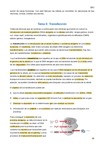 Apuntes-cultivos-celulares-tema-6.pdf