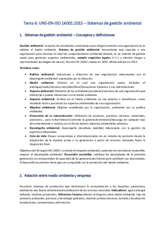 Sistemas-de-Gestion-Tema-6-gestion-ambiental.pdf