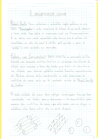 BIOLOGIA-1oBACH--A-ORGANIZACION-CELULAR.pdf