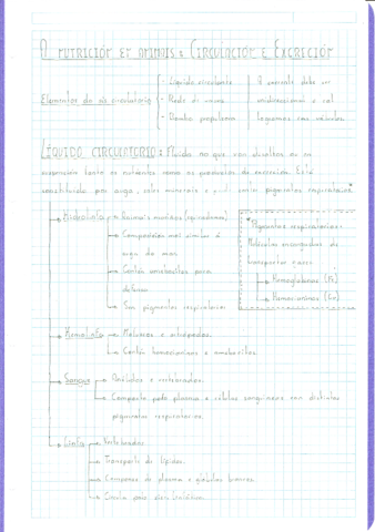 BIOLOGIA-1oBACH--NUTRICION-EN-ANIMAIS-CIRCULACION-E-EXCRECION.pdf