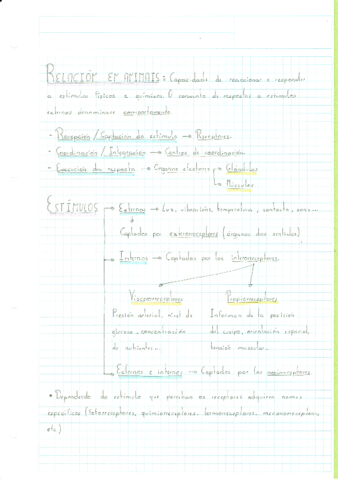 BIOLOGIA-1oBACH--RELACION-EN-ANIMAIS.pdf