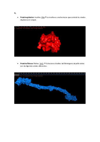 CUESTIONES-BIOINFORMATICA.pdf