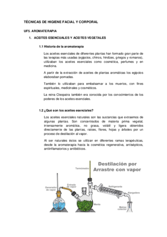 aromaterapia.pdf