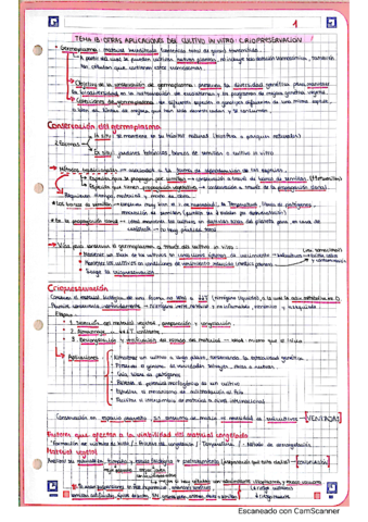 TEMA-13-CULTIUS-VEG.pdf
