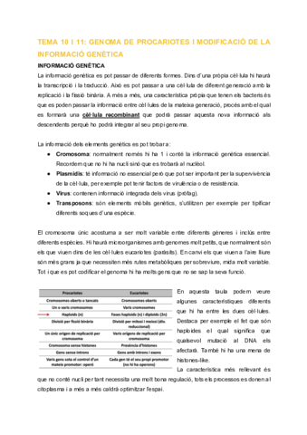 MV-Tema-10-i-11-Genoma-de-procariotes-i-modificacio-de-la-informacio-genetica.pdf