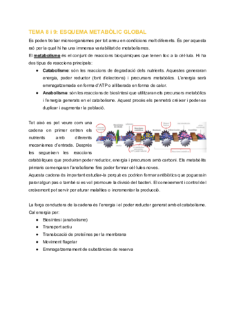 MB-Tema-8-i-9-Esquema-metabolic-global.pdf