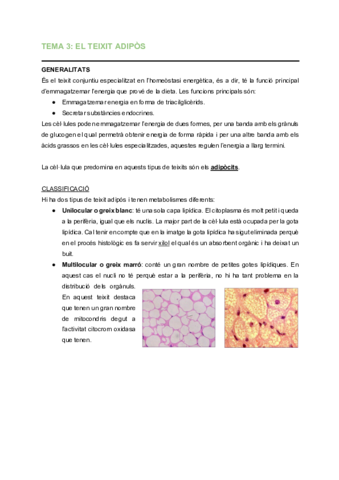 HS-Tema-3-Teixit-adipos.pdf