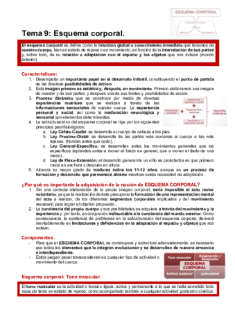 HABILIDADES-T9.pdf