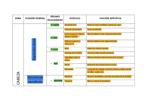 TABLA-MUSCULOS-con-funciones-.pdf