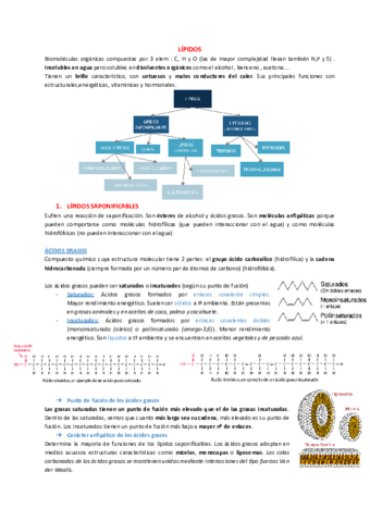 Lipidos.pdf