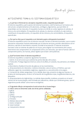 AnatoAct05.pdf
