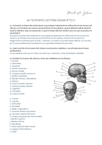 AnatoAct06.pdf