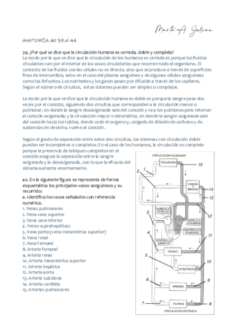 AnatoAct04.pdf