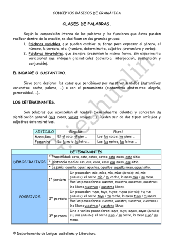 Morfologia-IPG-ieshuelin.pdf