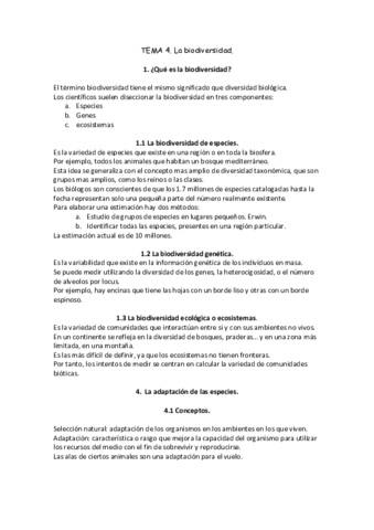 TEMA-4.pdf