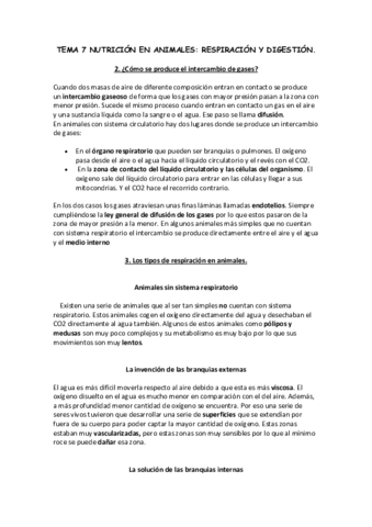 TEMA-7-.pdf