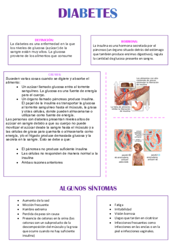 TRABAJO-DIABETES-.pdf