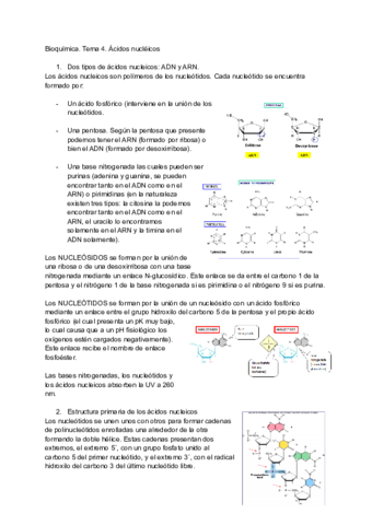 Bioquimica.pdf