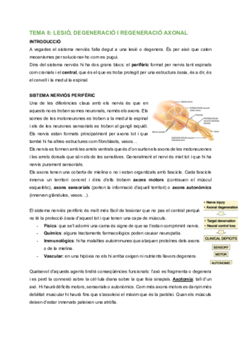 FH-Tema-8-Lesio-degeneracio-i-regeneracio-axonal.pdf