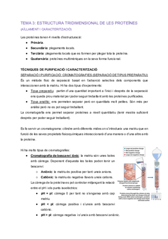 EFB-Tema-3-Estructura-tridimensional-de-les-proteines-2.pdf