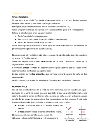 EFB-TEMA-6-Glucids.pdf