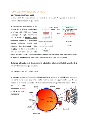 BF-Tema-2-Biofisica-de-la-visio.pdf
