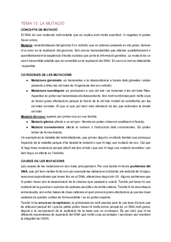 G-Tema-13-La-mutacion.pdf