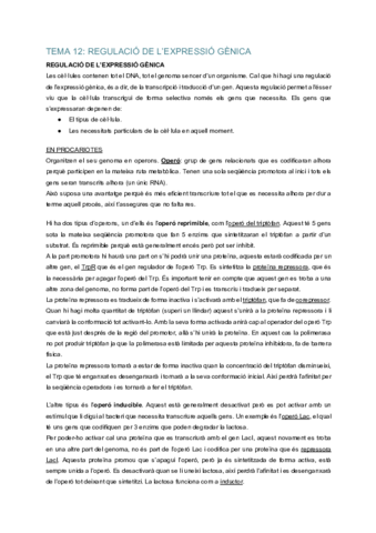 G-Tema-12-REGULACIO-DE-LEXPRESSIO-GENICA.pdf
