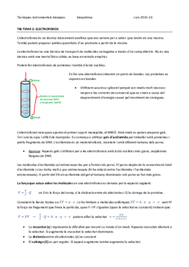 TIB TEMA 2 - ELECTROFORESI.pdf