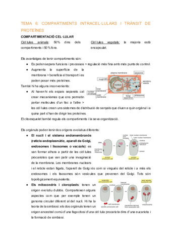 BC-Tema-6-Compartiments-intracellulars-i-transit-de-proteines.pdf