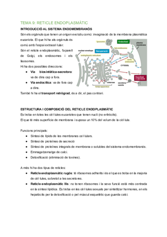 BC-Tema-9-Reticle-endoplasmatic.pdf