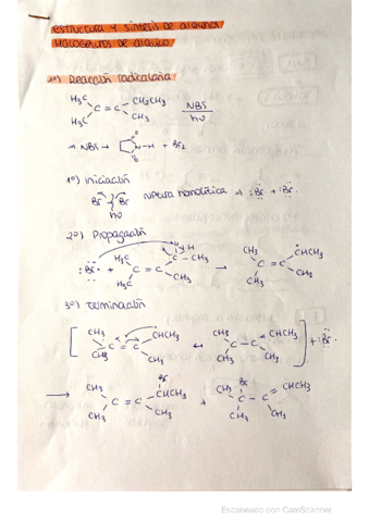 Conceptos-Q.pdf