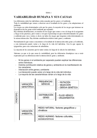 Bloque-I-tema-1.pdf