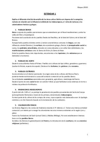 ESTANDAR-1.pdf