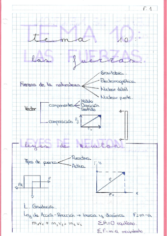 FISICA-FUERZAS.pdf