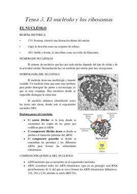 tema 5 celular.pdf