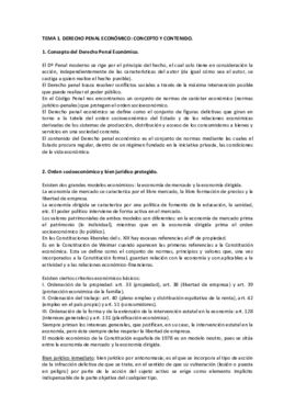 Apuntes manual penal.pdf