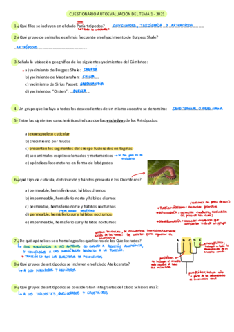 Cuestionarios-Zoo-2-1.pdf
