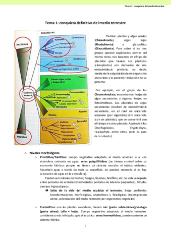Apuntes-Botanica-2020-21.pdf