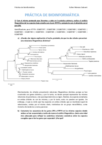 Problemas-bioinformatica.pdf